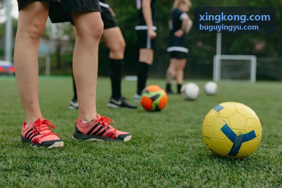xingkong.com沉浸式学习方案
